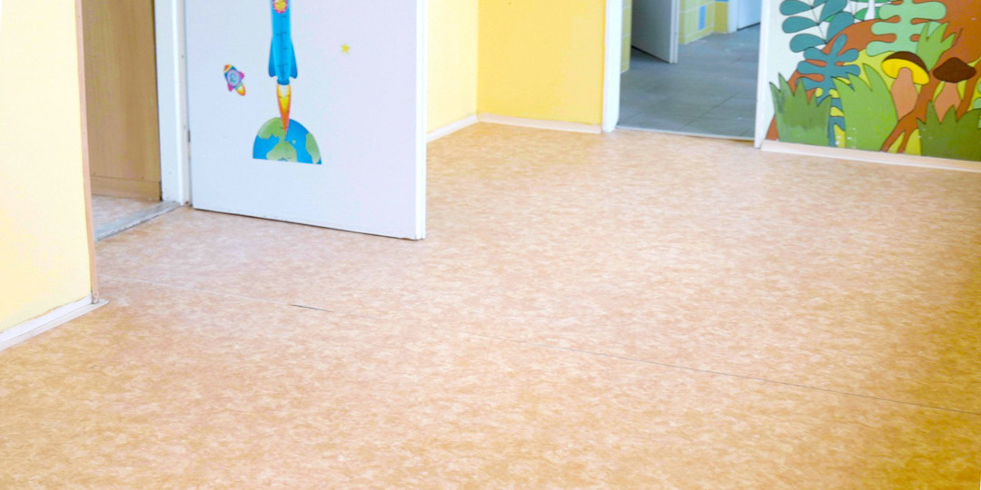 Renovace lina